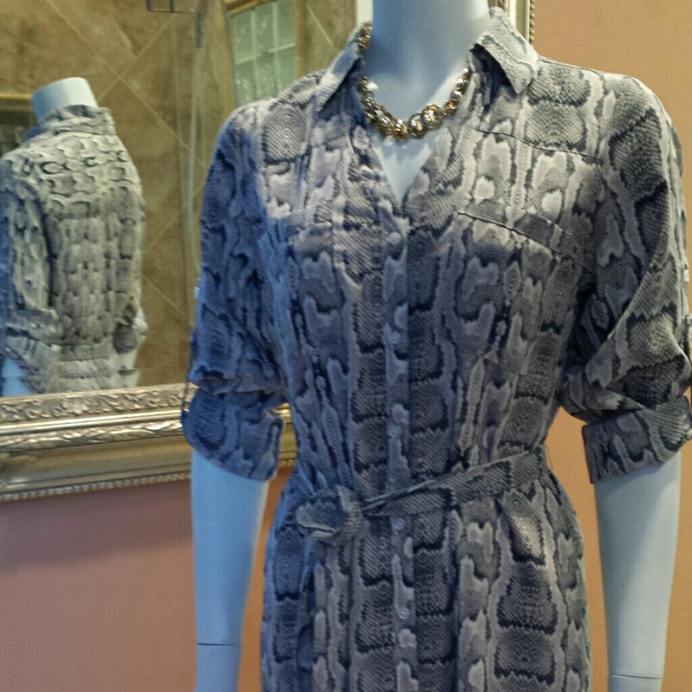 *NEW * EXPRESS DRESS